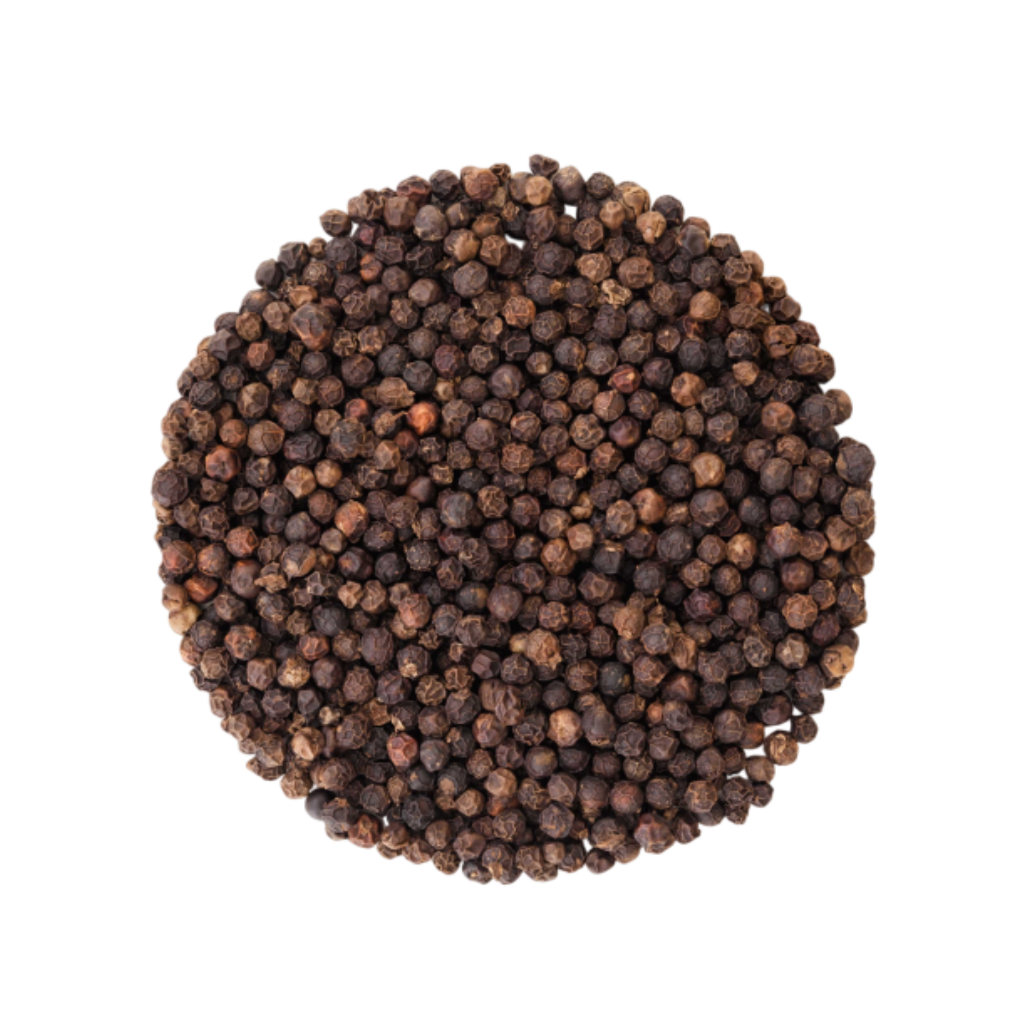 Black Pepper 