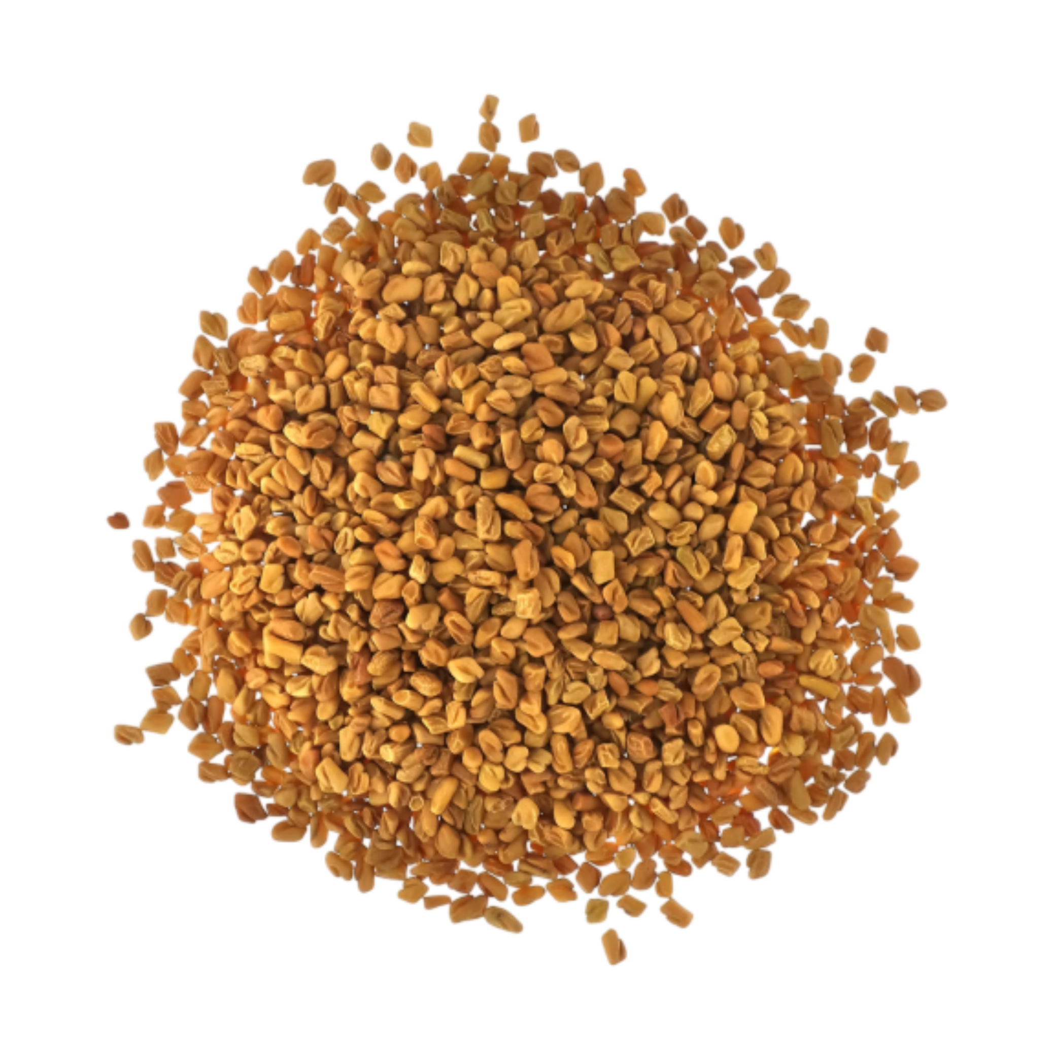 Fenugreek
